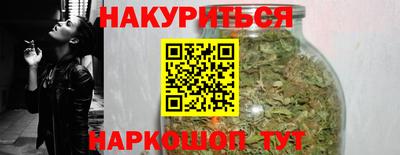 прущие грибы Будённовск