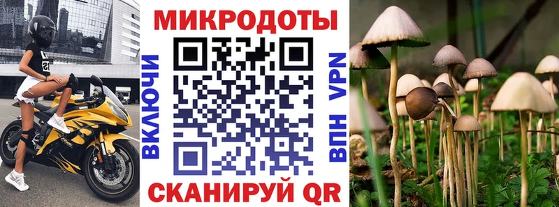 Псилоцибиновые грибы Psilocybine cubensis  Каменка 