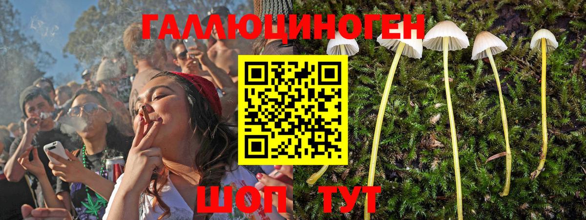 Каменка  Псилоцибиновые грибы Magic Shrooms  Вход с VPN 
