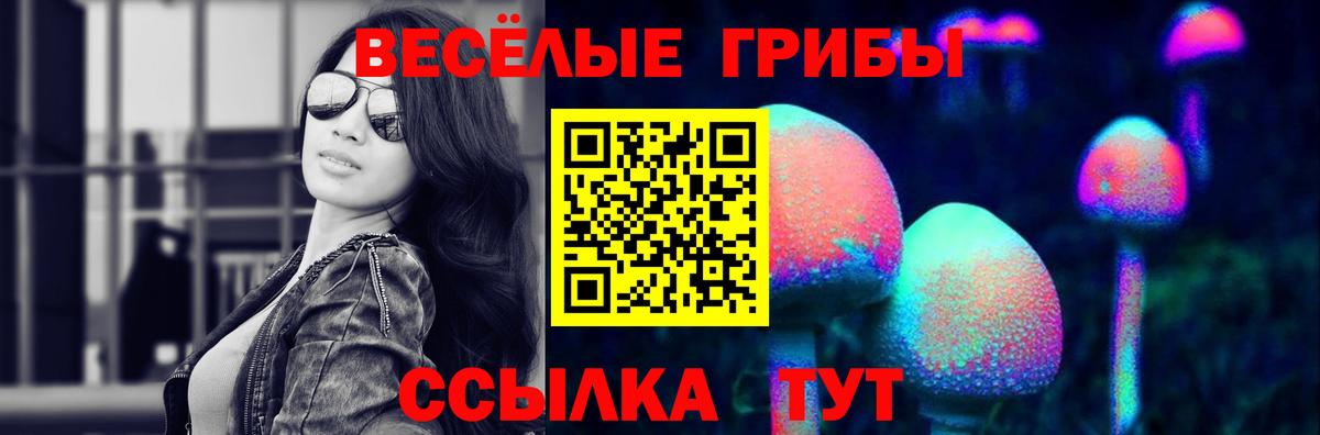 Псилоцибиновые грибы Psilocybe Каменка